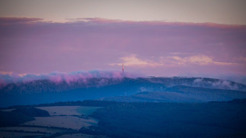 Zvířata a krajina